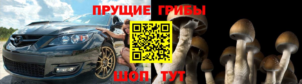 Юрга  Галлюциногенные грибы ЛСД  Галлюциногенные грибы прущие грибы  Вход с VPN 